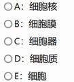 2023年6月16日 (五) 10:52版本的缩略图